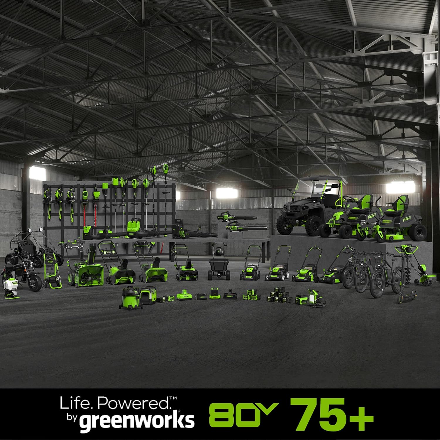 Greenworks 80V 10 Cordless Polesaw (Great For Pruning and Trimming Branches 75+ Compatible Tools), 2.0Ah Battery and Charger Included8