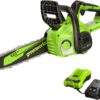 Greenworks CS24B210 24V 10" Cordless Compact Chainsaw (Great For Storm Clean-Up, Pruning, and Firewood), 2.0Ah Battery and Charger Included