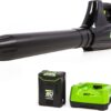 Greenworks GBL80300 80V (125 MPH / 500 CFM / 75+ Compatible Tools) Cordless Axial Leaf Blower, 2.0Ah Battery and Charger Included