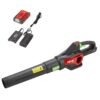 Henx A40CF900HEB01 40-volt 530-CFM 107-MPH Battery Handheld Leaf Blower 2.5 Ah (Battery and Charger Included)