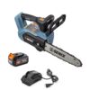 SENIX CSX2-M1 20-volt Max 10-in Battery 5 Ah Chainsaw (Battery and Charger Included)