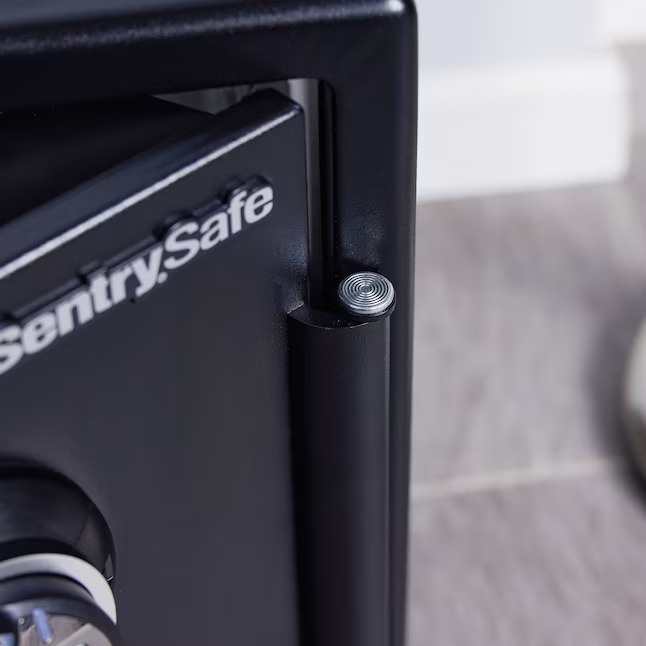 SentrySafe SFW123BSC 1.2-cu ft Fireproof and Waterproof Home Safe with Biometric Lock45_11zon