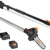 WEN 20V Max Cordless Brushless 8 Inch Pole Saw with 4.0Ah Battery and Charger (20759)