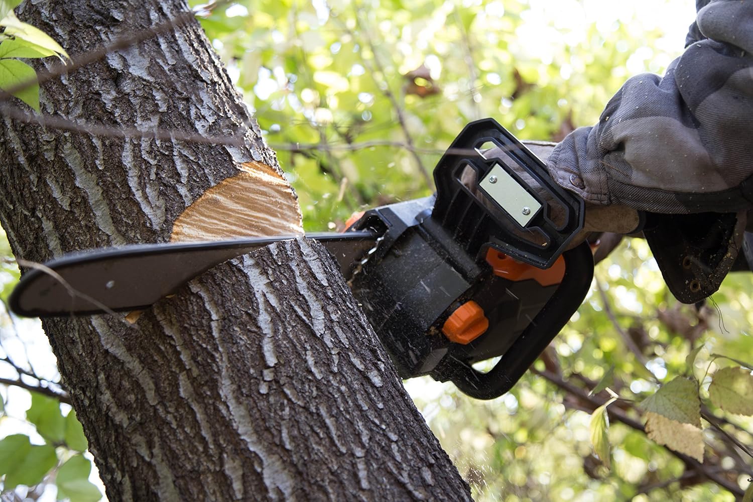 WEN Cordless Electric Chainsaw, 16-Inch Brushless (Tool Only, 40V Max Battery Not Included) (40417BT)7