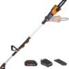 Worx Nitro 20V 8 '' cordless pole chainsaw 2.0 Ah battery and charger included WG349