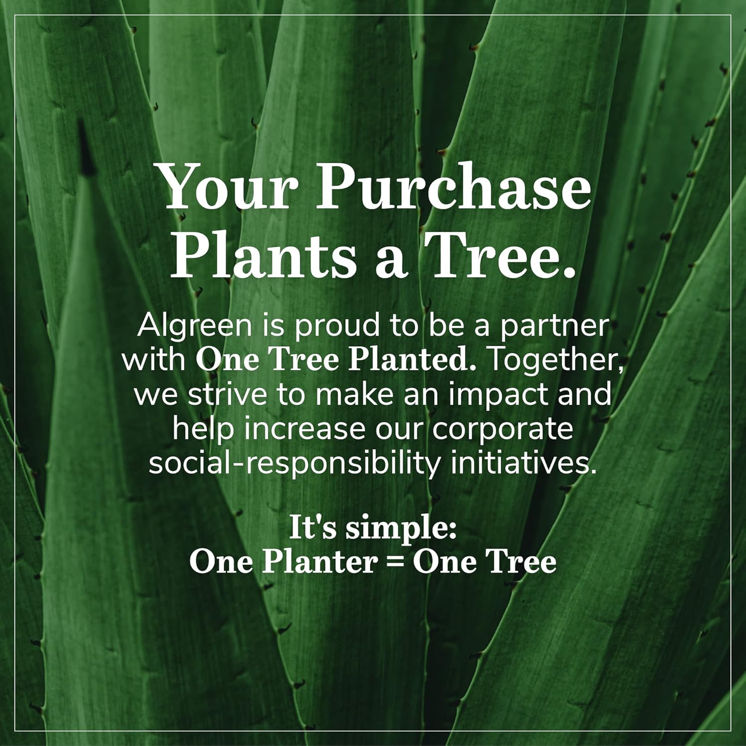 Algreen Athena Plastic Rain Barrel w Brass Spigot, Debris Screen & Dual Overflow, 50 Gal11