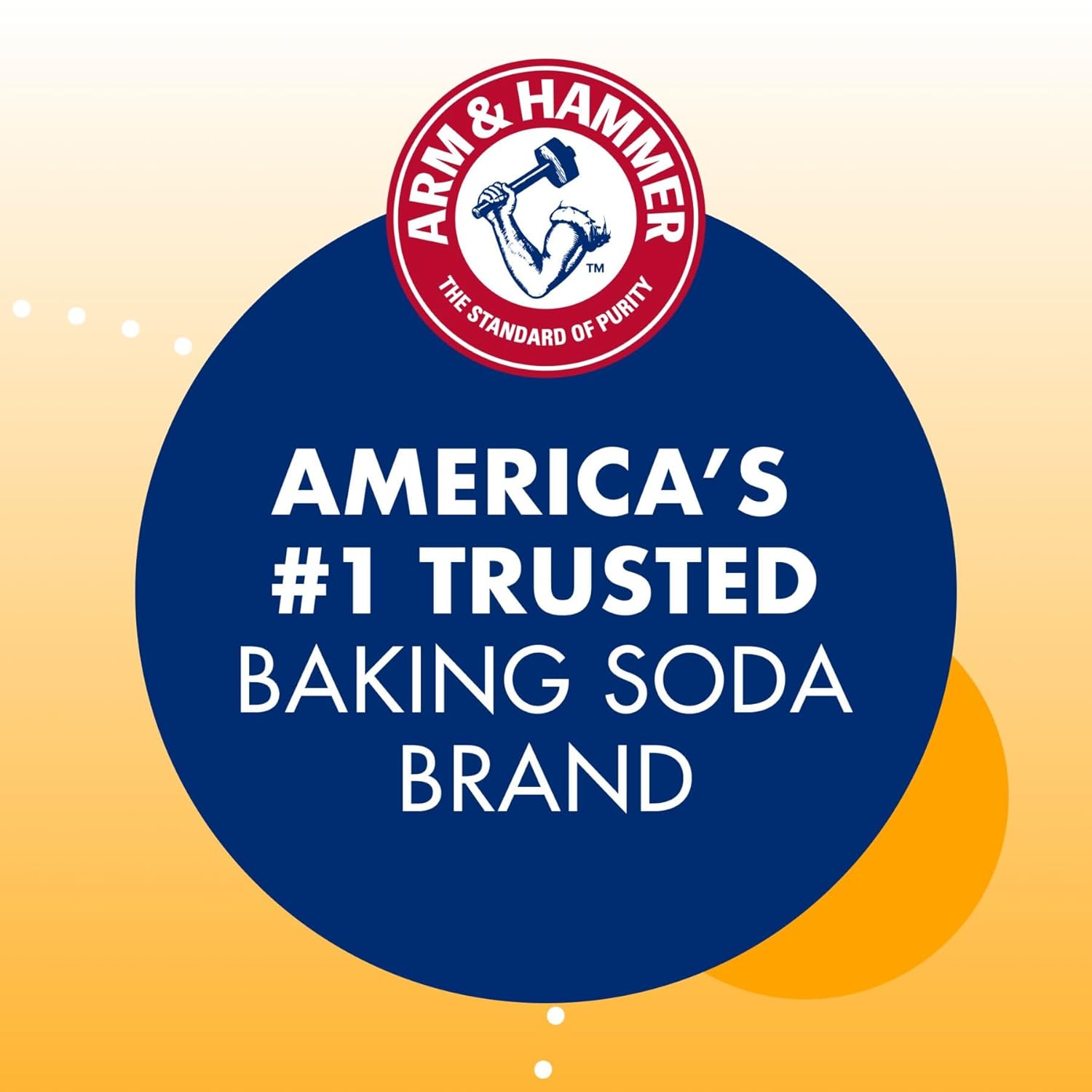 Arm & Hammer 33200-84104 Baking Soda, 16 oz (Pack of 24)5