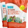 Back to the Roots 100% Organic Succulent & Cacti Mix (Value 12 Quart) | Made in The USA