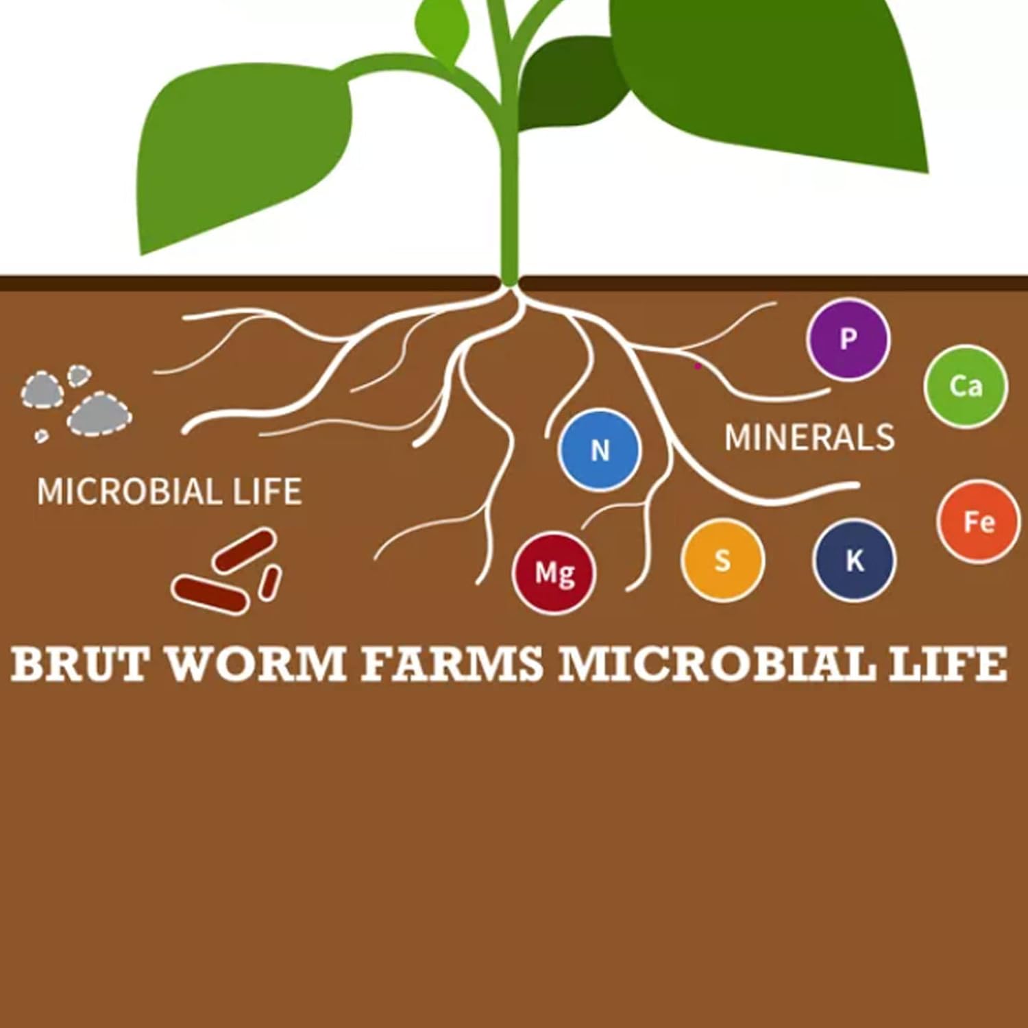 Brut Organic Worm Castings – 30 Lb – Garden's Elixir for Thriving Blooms & Harvests!0