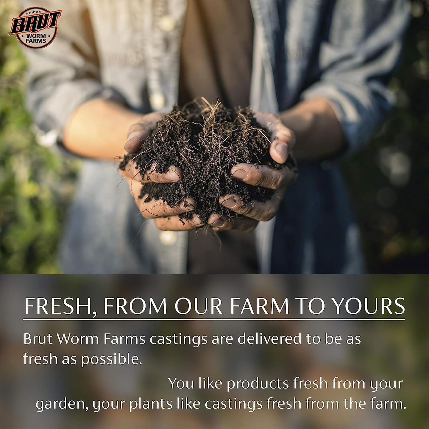 Brut Organic Worm Castings – 30 Lb – Garden's Elixir for Thriving Blooms & Harvests!5