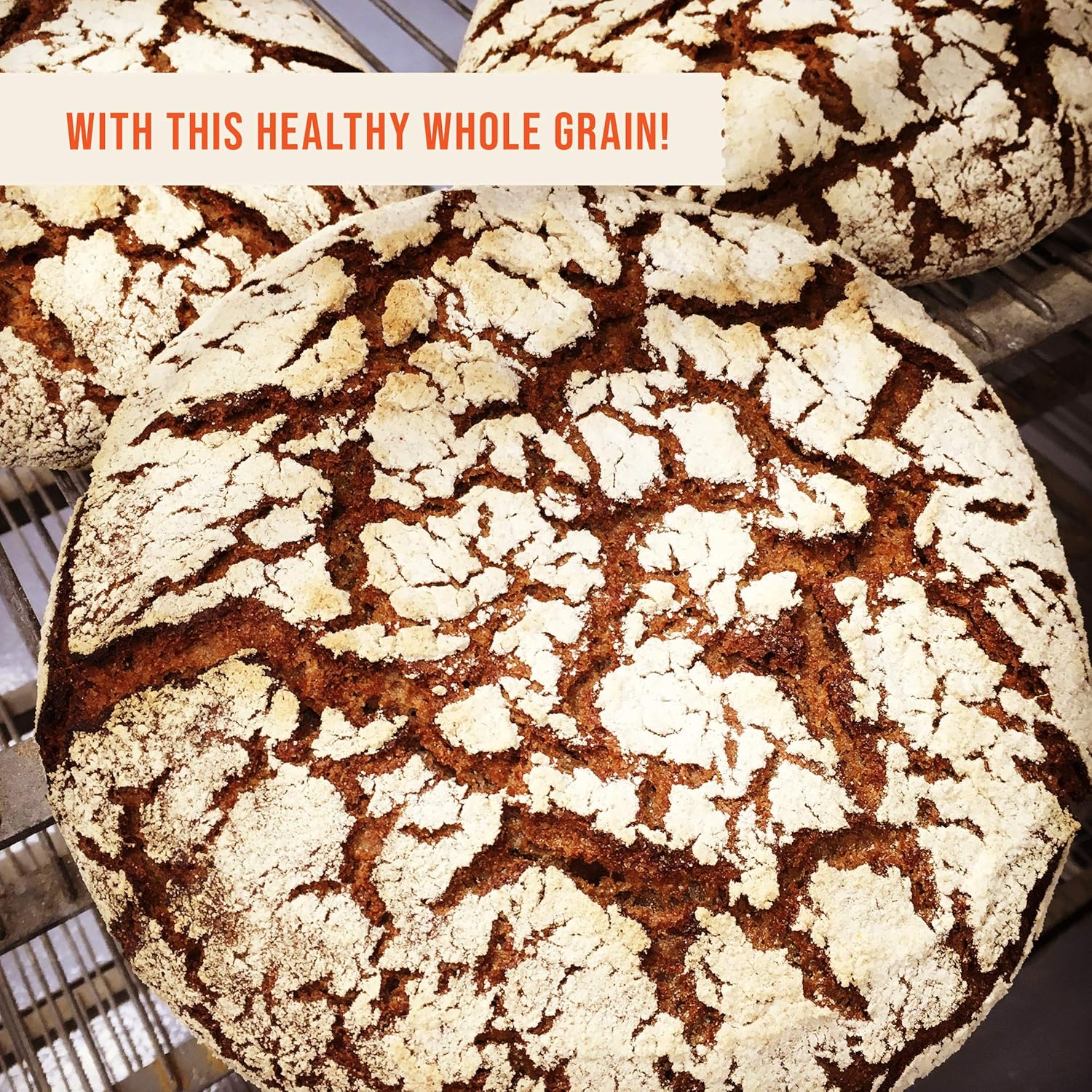 CENTRAL MILLING 100% Organic Whole Dark Rye Flour - 25 lbs…11