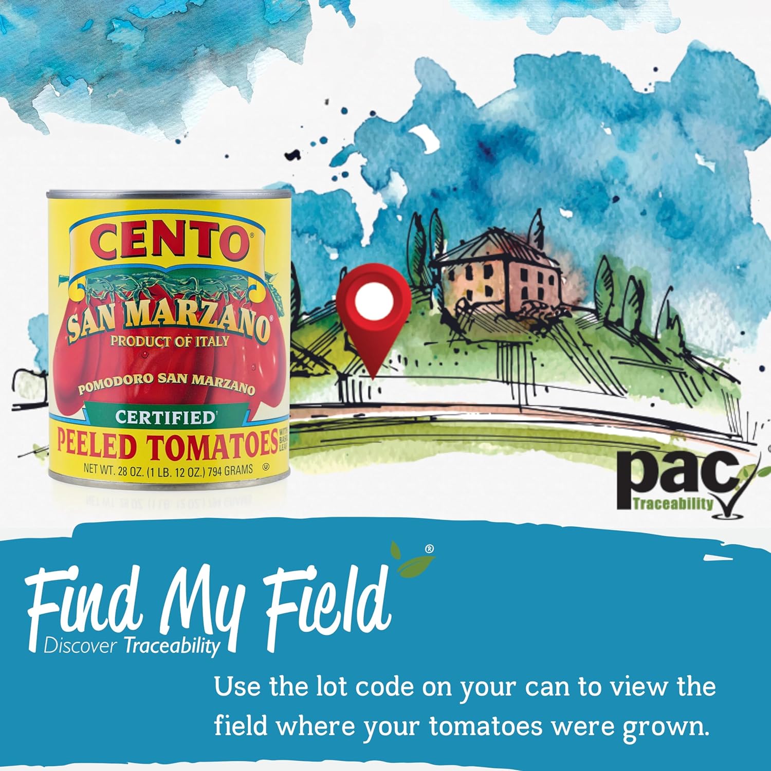 Cento Certified San Marzano Whole Peeled Tomatoes, 28 Oz (Pack of 6), Canned Plum Tomatoes in Thick Puree with Basil, Grown and Processed in Italy7