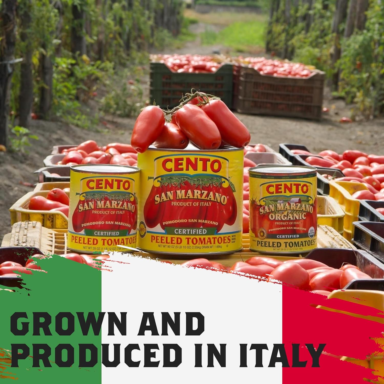 Cento Certified San Marzano Whole Peeled Tomatoes, 28 Oz (Pack of 6), Canned Plum Tomatoes in Thick Puree with Basil, Grown and Processed in Italy9