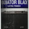 Eastwood High Heat Resistant Radiator Paint | Satin Black Spray for Paint for Automotive Radiators | Stone and Chip Resistant Paint Finish | Heat Resistant To 300° F | 12 oz | 1 Pack