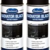 Eastwood High Heat Resistant Radiator Paint Satin Black Spray for Paint for Automotive Radiators Stone and Chip Resistant Paint Finish Heat Resistant To 300° F 12 oz 2 Pack