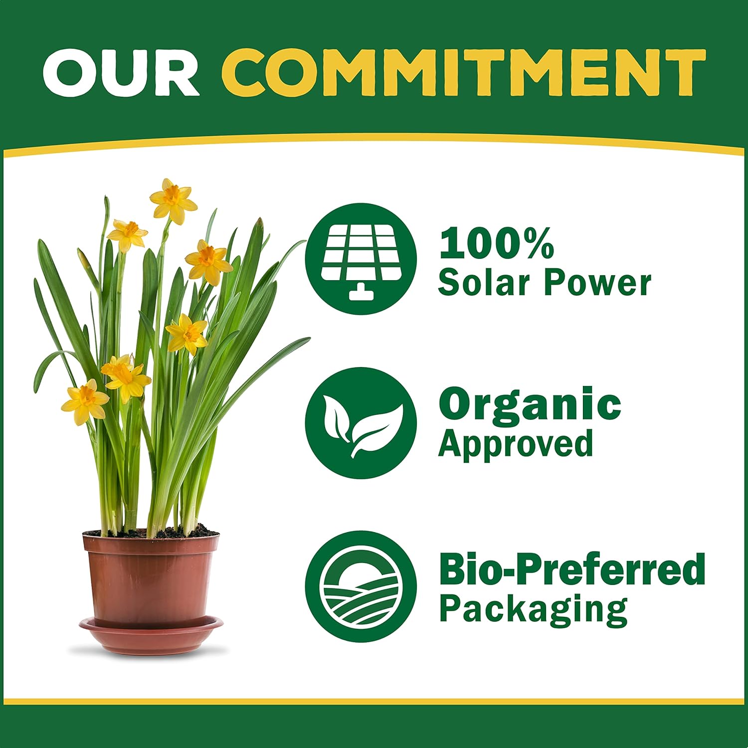 Espoma Organic Evergreen-Tone 4-3-4 Natural & Organic Fertilizer and Plant Food for Evergreen Trees & Shrubs. 18 lb. Bag. Use for Planting & Feeding to Promote Optimum Growth11