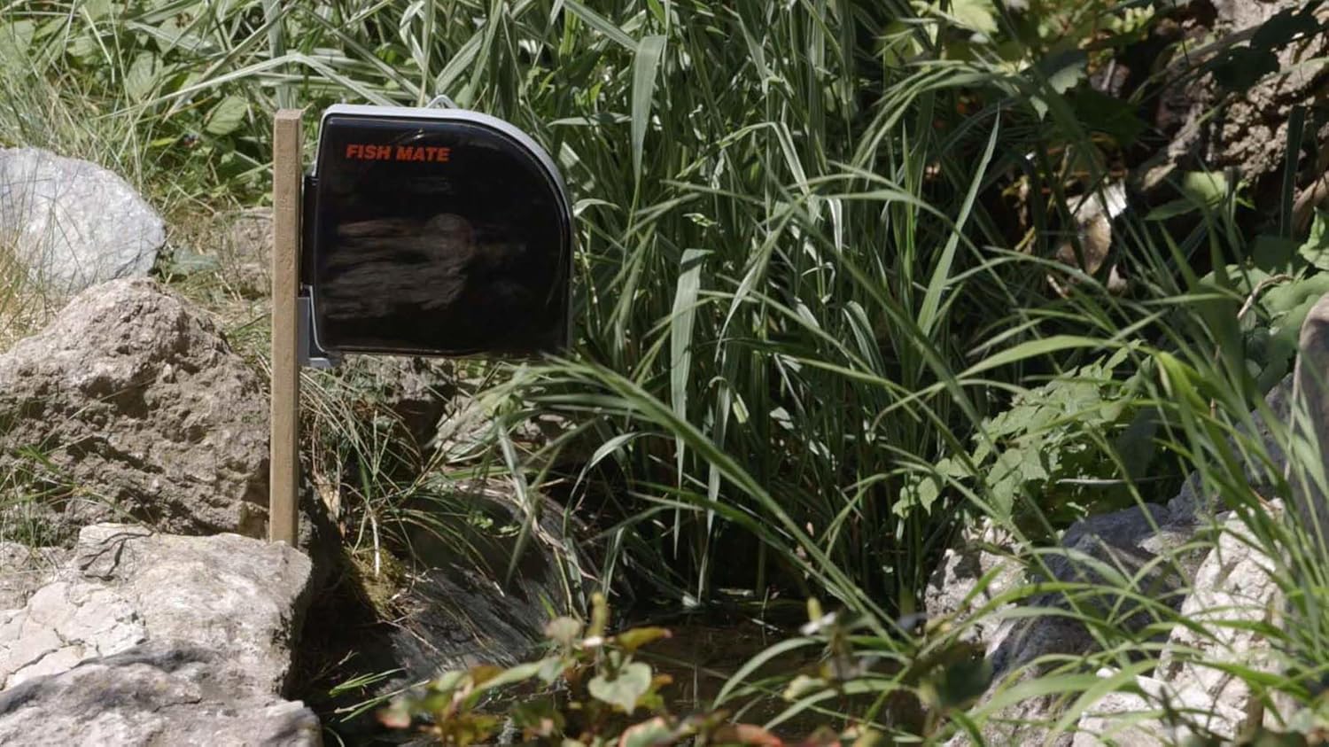 Fish Mate Automatic Pond and Aquarium Fish Feeder (P21)0