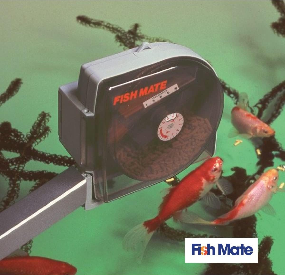 Fish Mate Automatic Pond and Aquarium Fish Feeder (P21)9
