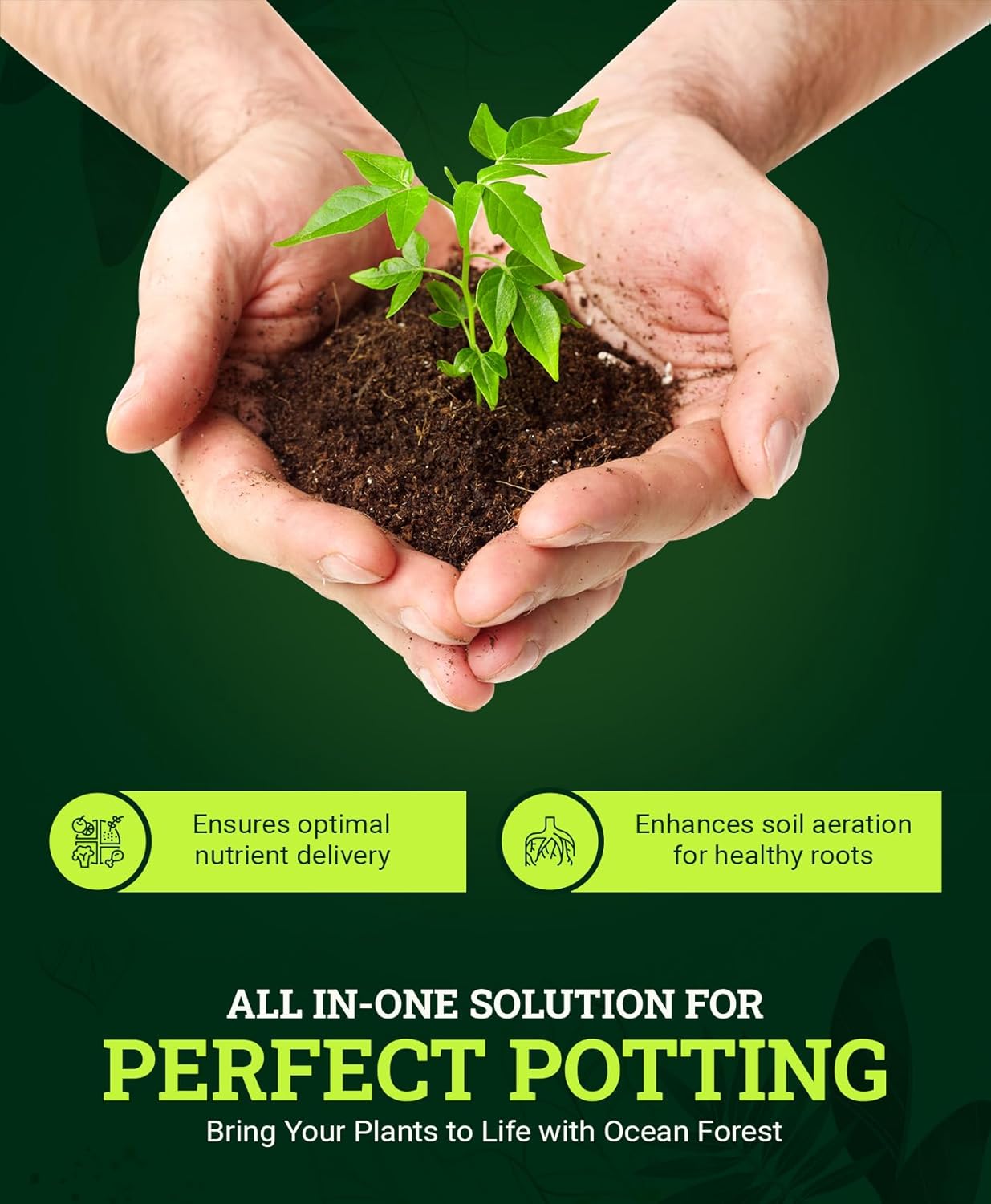 FoxFarm Ocean Forest Potting Soil, 12qt – Light, Aerated Texture, Designed for All Container Plants – pH Adjusted for Optimal Nutrient Uptake, Effectively Retains Moisture (12 Quart (4 Pack))5