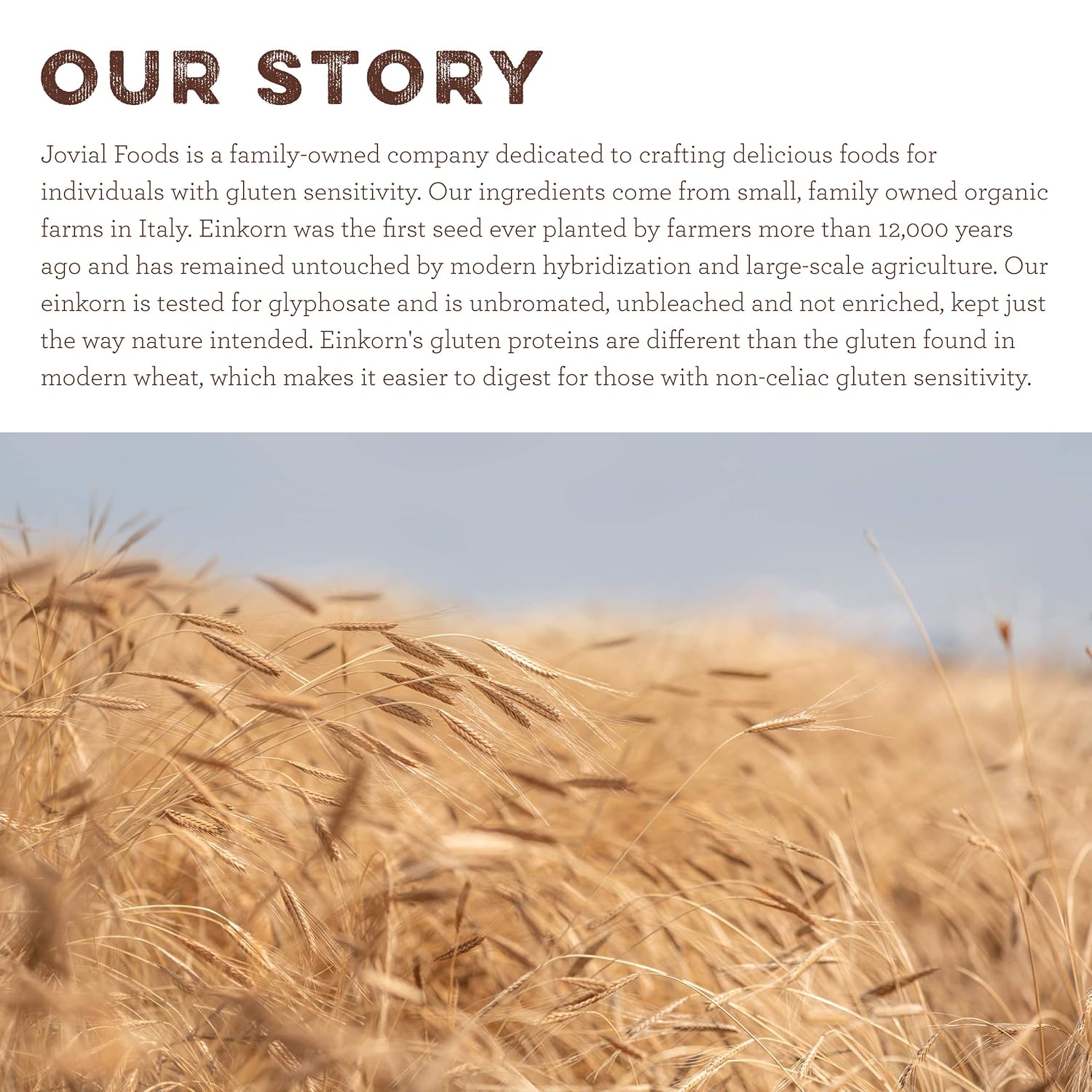 Jovial Organic Einkorn Whole Wheat Flour - Bread Baking Flour for Sourdough, High Protein, Non-GMO, Organic Pizza & Pasta Flour, European Italian Flour, Glyphosate Free - 2 Lb, 3 Pack7