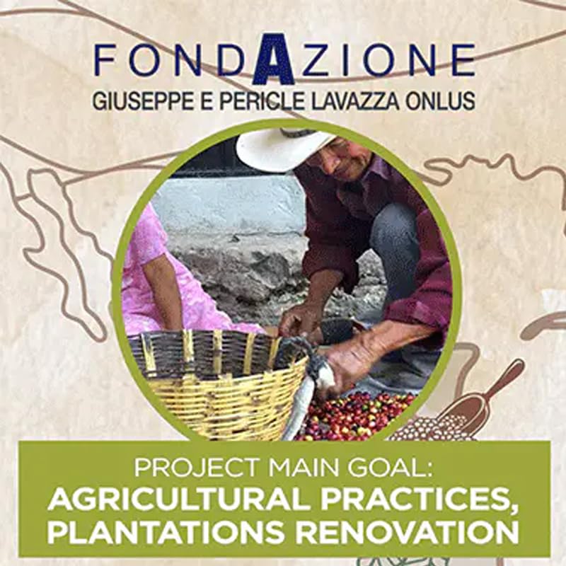 Lavazza ¡Tierra! Organic for Planet Whole Bean Coffee, Light Roast, 100% Arabica, 2.2 lb Bag (pack of 1)5