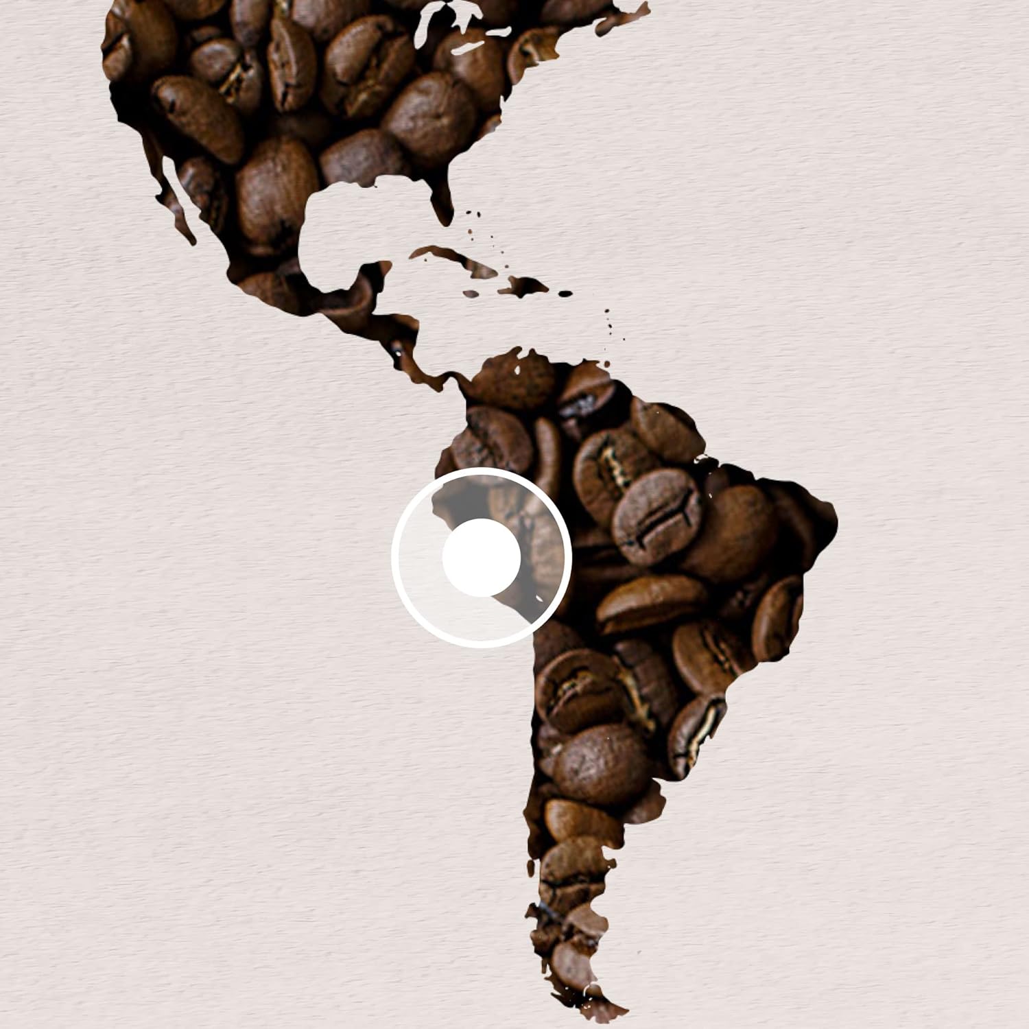 Lavazza ¡Tierra! for Amazonia Whole Bean Coffee, Medium Roast, 100% Arabica, 10.5 oz Bag (pack of 1)0