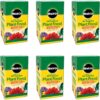 Miracle-Gro All Purpose Plant Food Plant Fertilizer (6 Pack), 3 lb