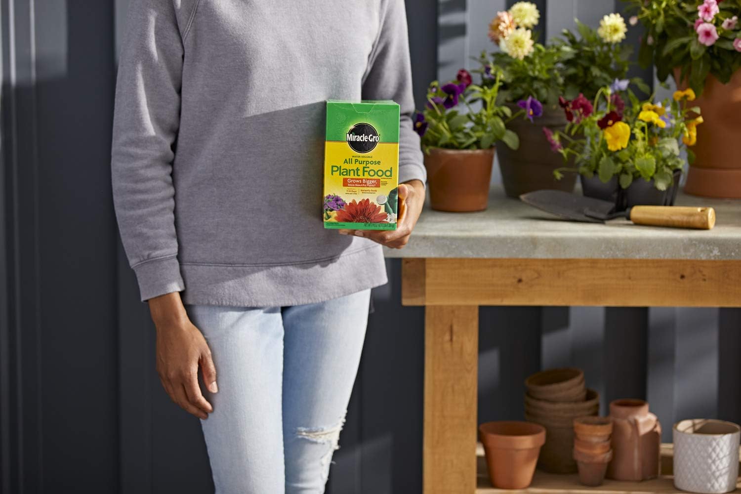 Miracle-Gro All Purpose Plant Food Plant Fertilizer (6 Pack), 3 lb2