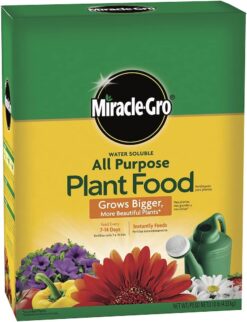Miracle-Gro Water Soluble All Purpose Plant Food, Plant Fertilizer for Indoor or Outdoor Plants, Roses, Flowers, Houseplants, Vegetables and Trees, 10 lb.