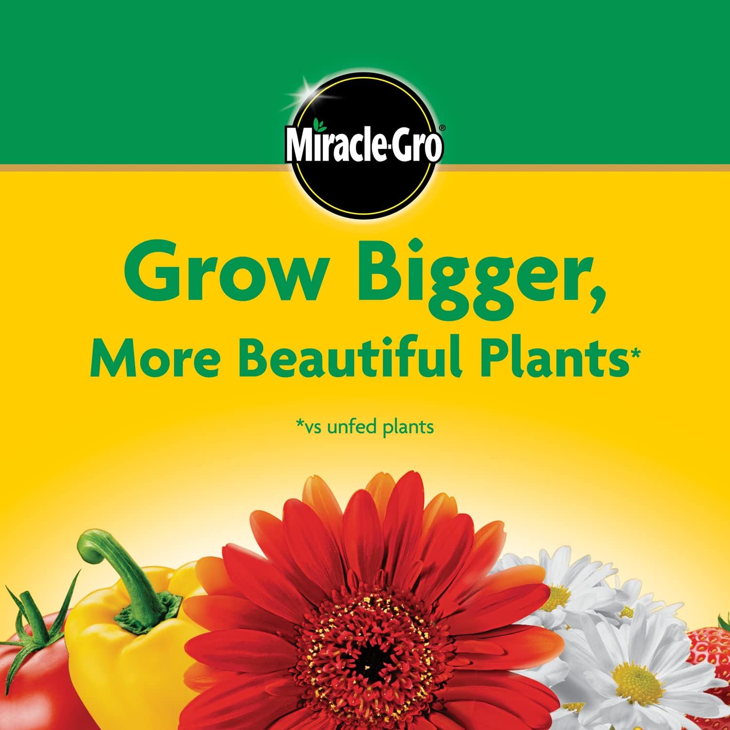 Miracle-Gro Water Soluble All Purpose Plant Food, Plant Fertilizer for Indoor or Outdoor Plants, Roses, Flowers, Houseplants, Vegetables and Trees, 10 lb.15