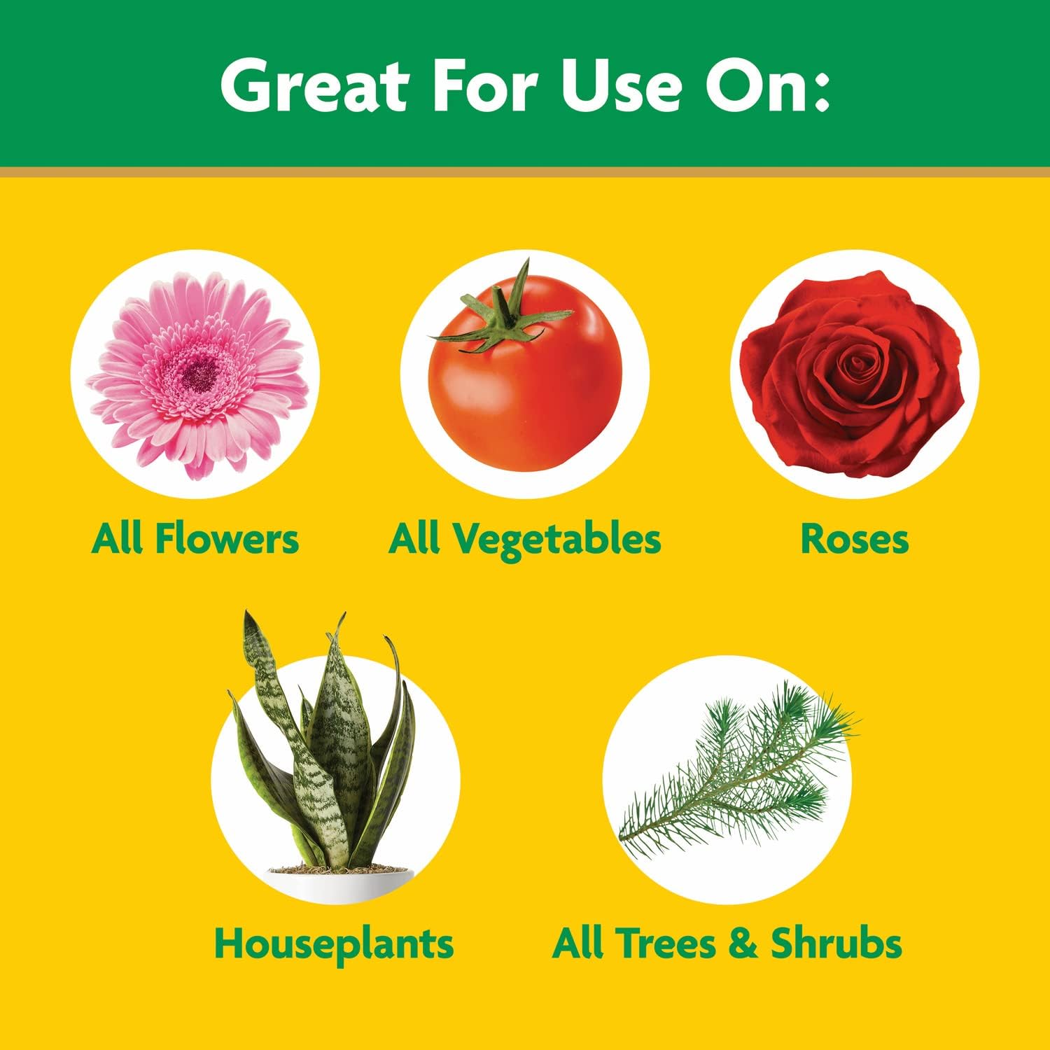 Miracle-Gro Water Soluble All Purpose Plant Food, Plant Fertilizer for Indoor or Outdoor Plants, Roses, Flowers, Houseplants, Vegetables and Trees, 10 lb.5