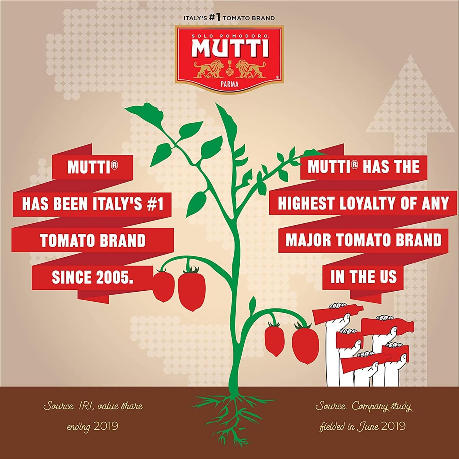 Mutti Organic Tomato Puree (Passata), 19.7 oz. 6 Pack3
