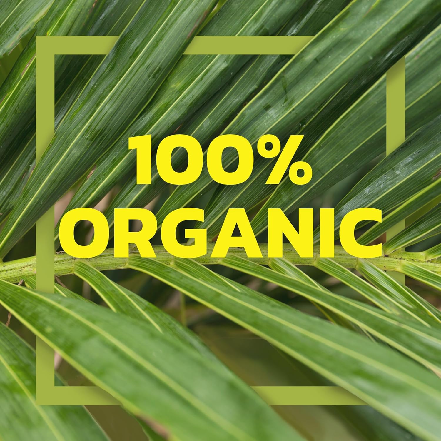 Native Forest Organic Young Jackfruit - Great Meatless Alternative, Plant Based Meat, Non-GMO Project Verified, USDA Organic - Original, 14 Oz (Pack of 6)5