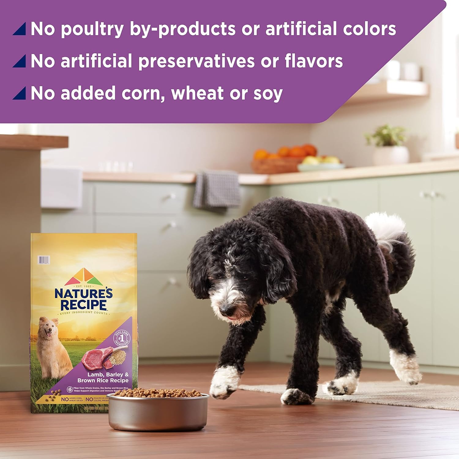 Nature′s Recipe Lamb, Barley & Brown Rice Recipe Dry Dog Food, 24 lb. Bag7