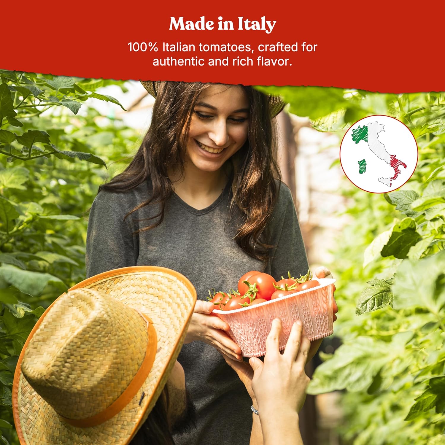 Pomì Chopped Tomatoes 13.8oz (Pack of 12) - Italian Chopped Tomato Made from All Natural 100% Fresh Italian Tomatoes - No Additives or Preservatives - Crushed Tomatoes - Italian Tomatoes Crushed1