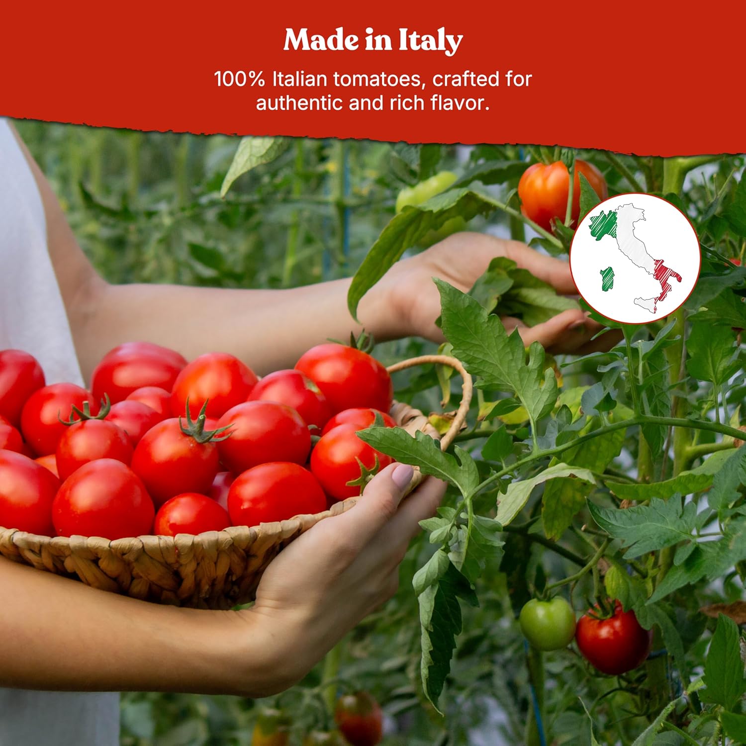 Pomì Strained Tomatoes 13.8oz (Pack of 12) - Creamy, Velvety Italian Tomato Puree, No Additives or Preservatives - BPA-Free Pureed Tomatoes Made from 100% Fresh Italian1