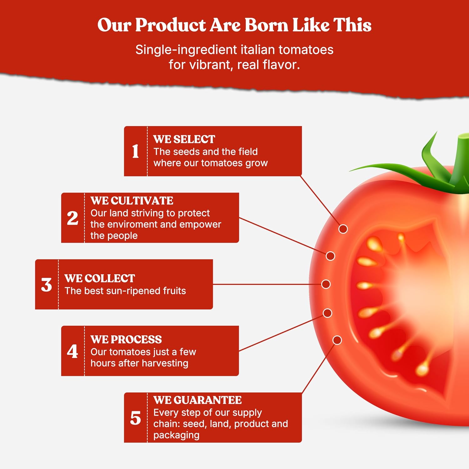 Pomì Strained Tomatoes 13.8oz (Pack of 12) - Creamy, Velvety Italian Tomato Puree, No Additives or Preservatives - BPA-Free Pureed Tomatoes Made from 100% Fresh Italian4
