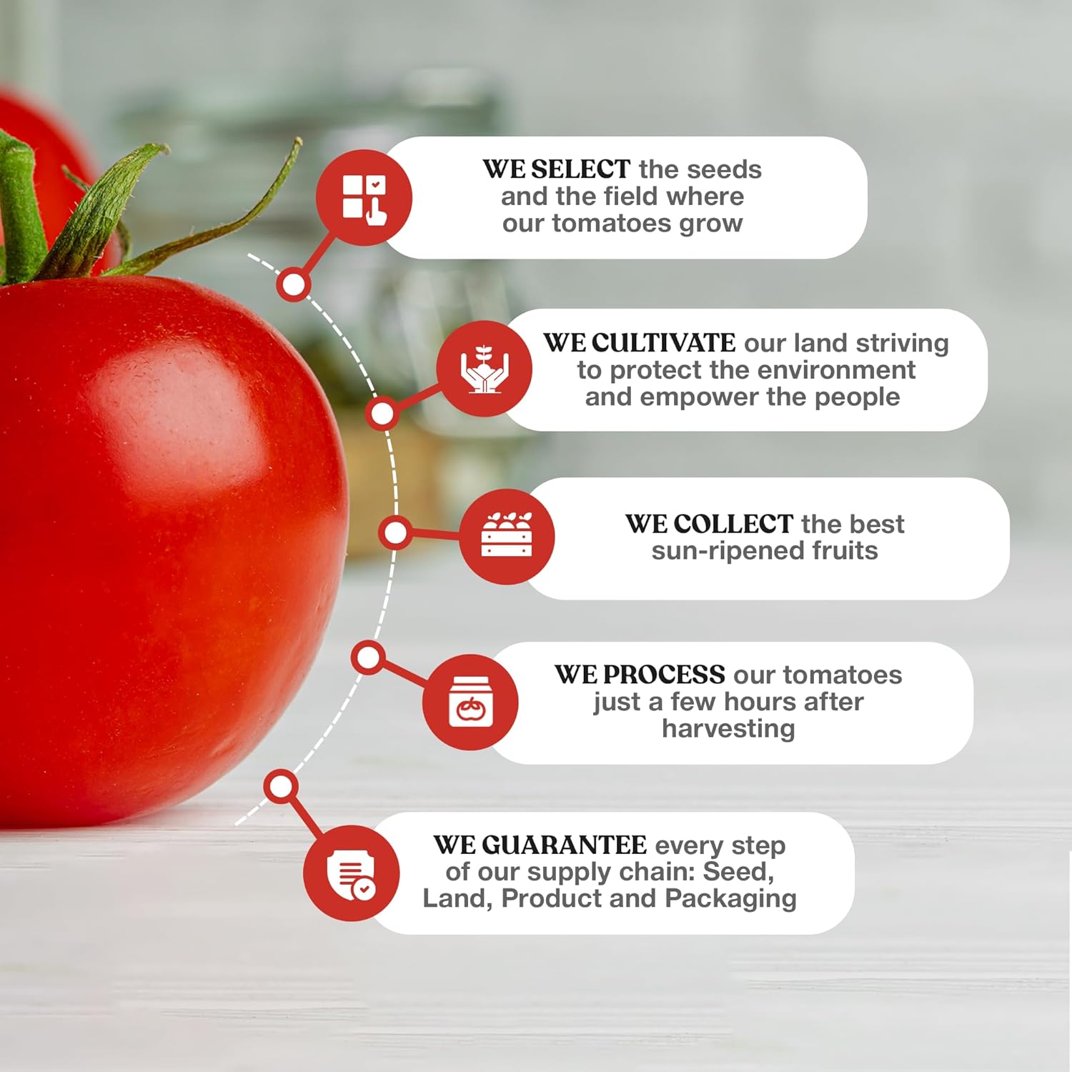 Pomì Tomato Sauce 17.64oz (Pack of 12) - Creamy, Velvety Italian Sauce with a Touch of Salt, No Additives or Preservatives - Made from 100% Fresh Italian Tomatoes, BPA-Free Carton8