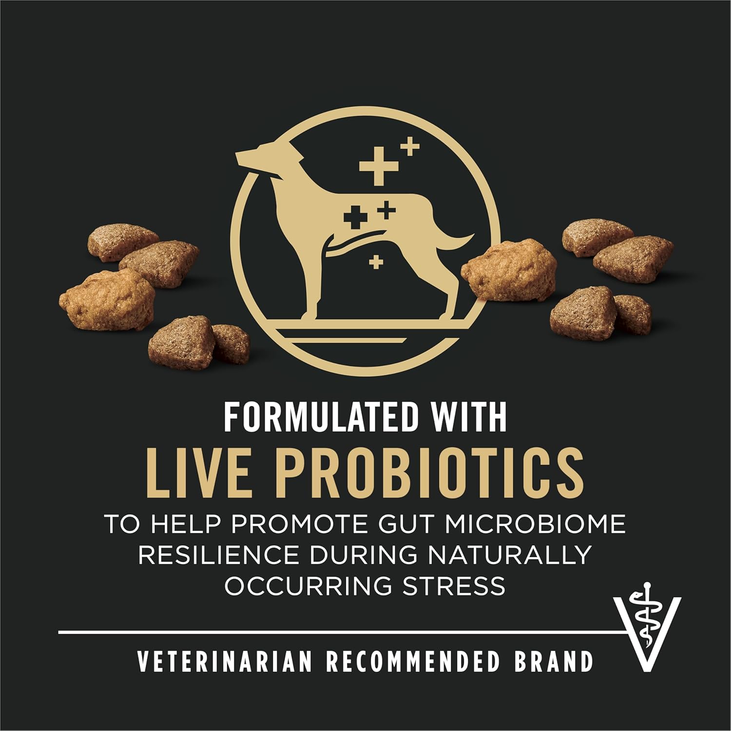 Purina Pro Plan Complete Essentials Shredded Blend Salmon and Rice Dog Food Dry Formula with Probiotics for Dogs - 15 lb. Bag1