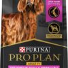 Purina Pro Plan Sensitive Skin and Stomach Dry Dog Food Senior Adult 7 Plus Salmon and Rice Formula - 16 lb. Bag