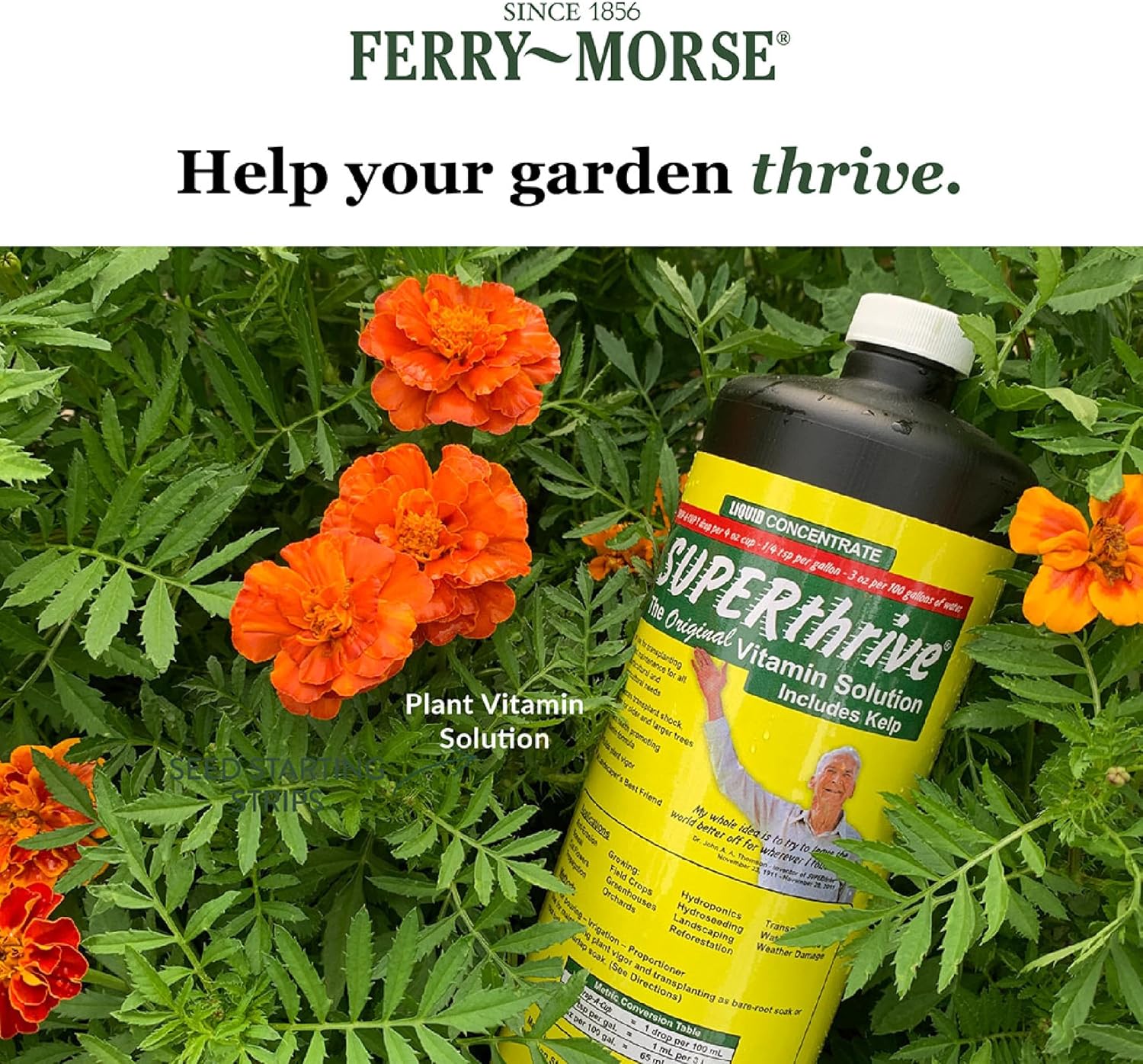 SUPERthrive VI30155 Plant Vitamin Solution, 1 Pint,Multi8