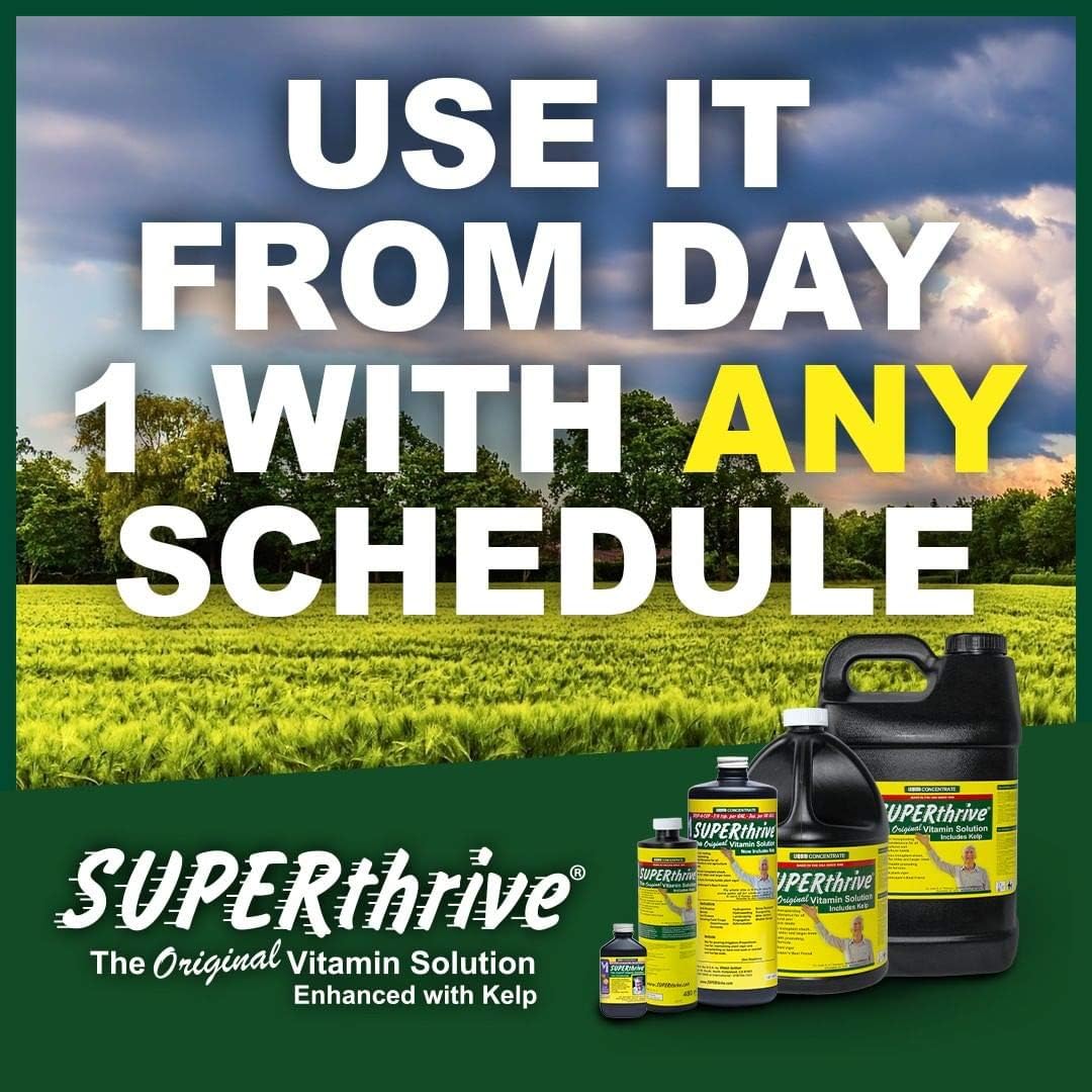 SUPERthrive VI30179 Plant Vitamin Solution, 1 Gallon, Clear1