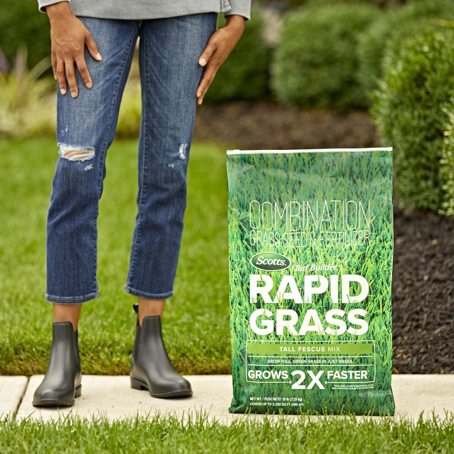 Scotts Turf Builder Rapid Grass Tall Fescue Mix, Combination Seed and Fertilizer, Grows Green Grass in Just Weeks, 16 lbs.4