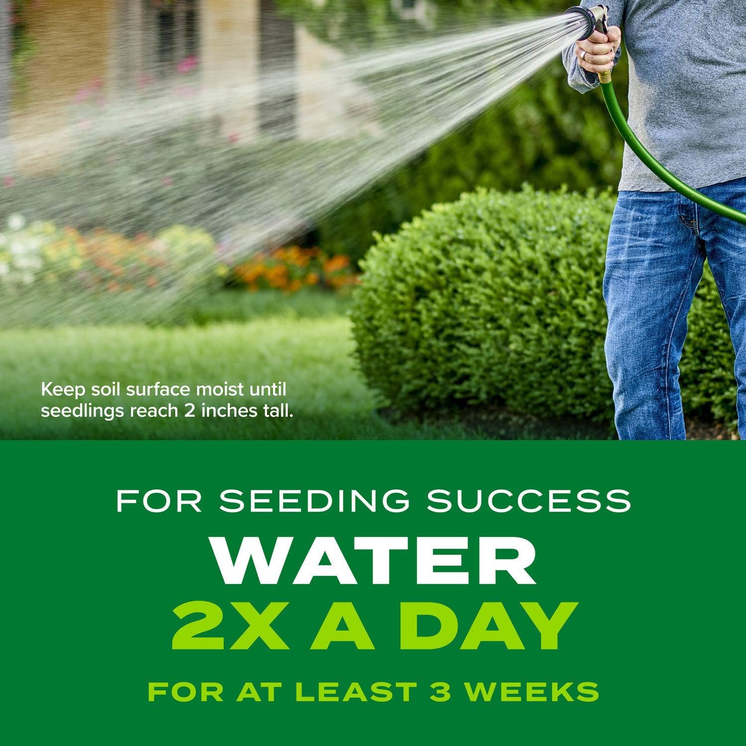 Scotts Turf Builder Rapid Grass Tall Fescue Mix, Combination Seed and Fertilizer, Grows Green Grass in Just Weeks, 16 lbs.87