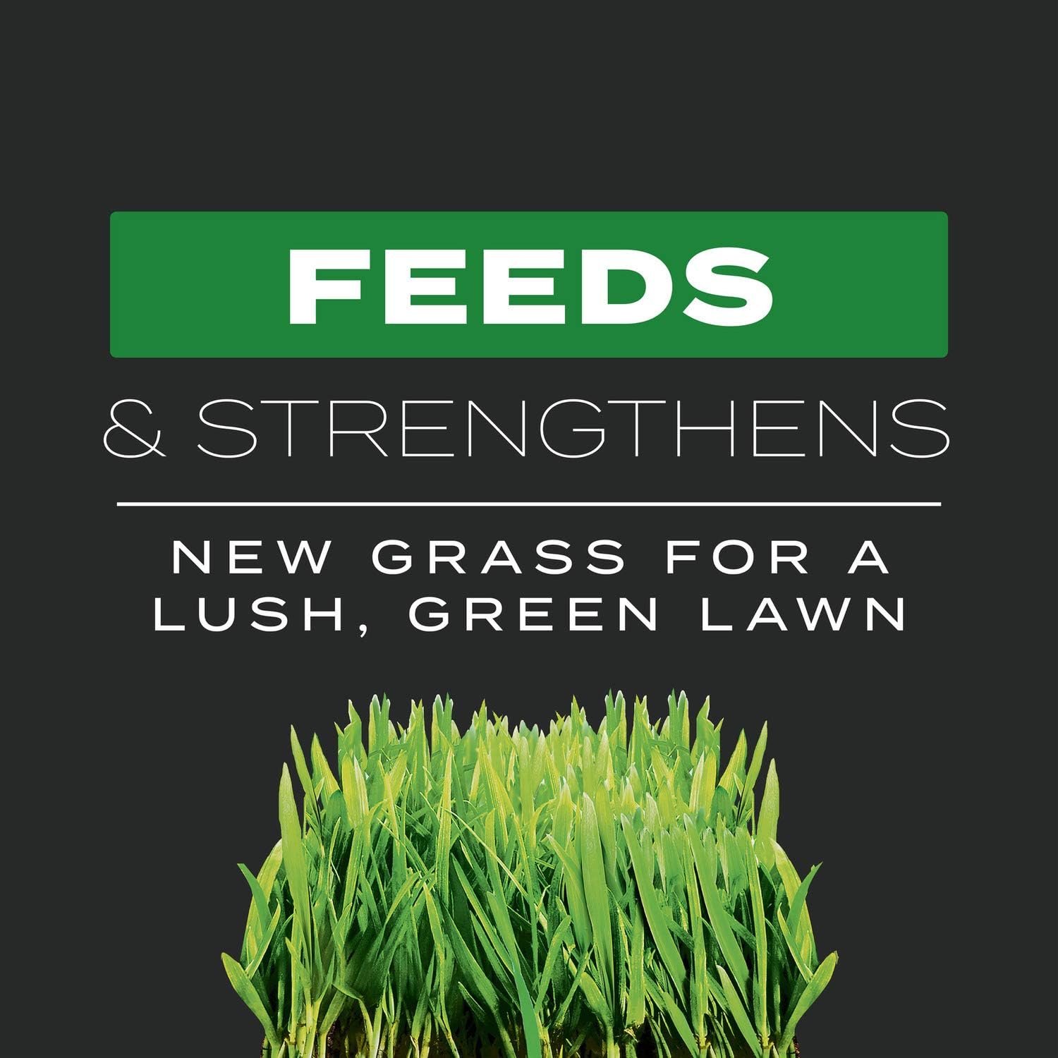 Scotts Turf Builder Triple Action Built For Seeding, Weed Preventer and Fertilizer for New Lawns, 4,000 sq. ft., 17.2 lbs.6