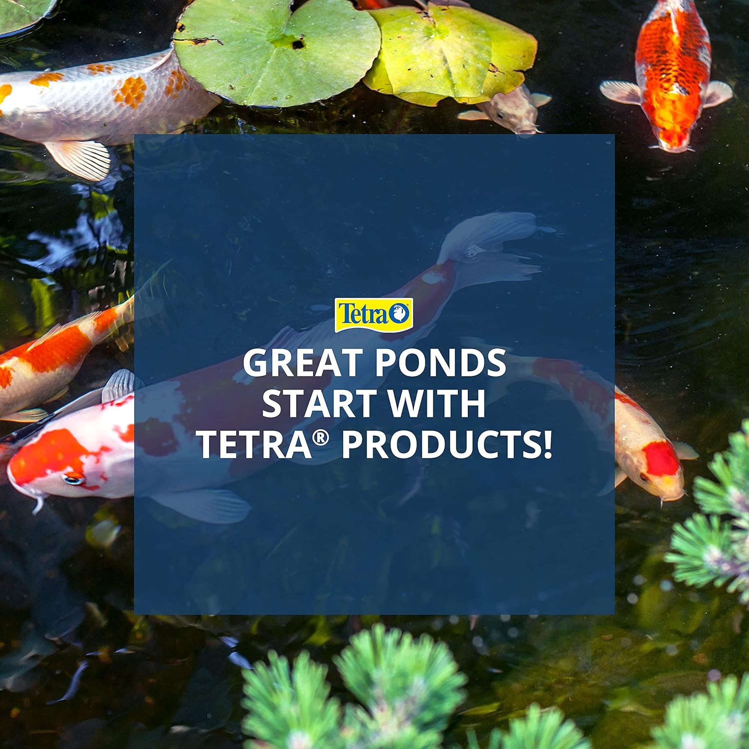 TetraPond Water Garden Pump, Powers Waterfalls Filters Fountain Heads,Black,50 to 500 Gallons5