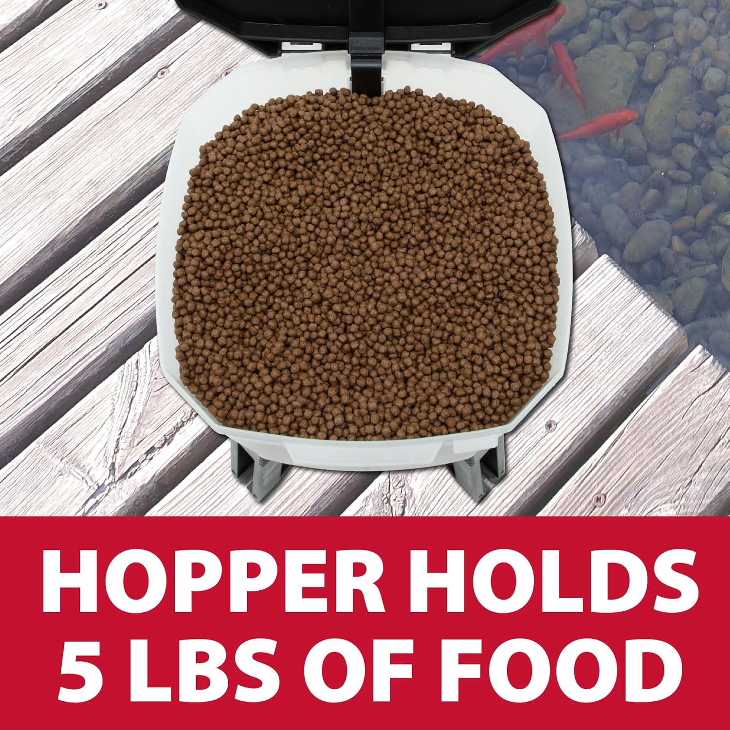 The Pond Guy KoiGrower Automatic Pond Fish Food Dispenser, Solar, Battery & AC Electric Power, Auto Timed Koi Pellet Feeder, 5 Gallon Feed Container4