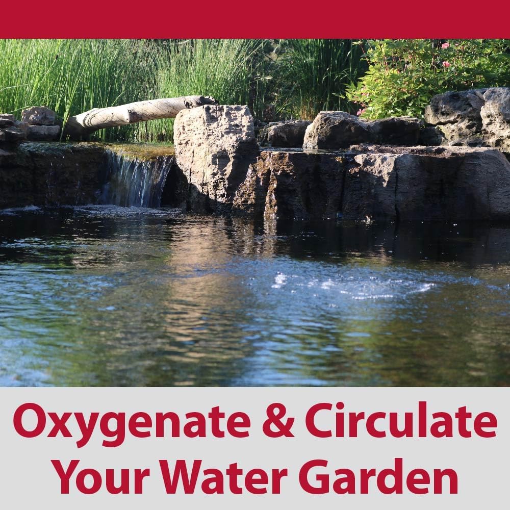 The Pond Guy Pond Aerator 2, Complete Aeration Kit, Water Garden Oxygenation Bubbler System Adds Oxygen to Koi & Fish Ponds, Outdoor Diaphragm Compressor Pump, Air Line & 2 Submersible Diffuser Stick8
