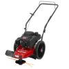 Troy-Bilt TB22TMC 22 in. 163cc Gas Walk Behind String Trimmer Mower