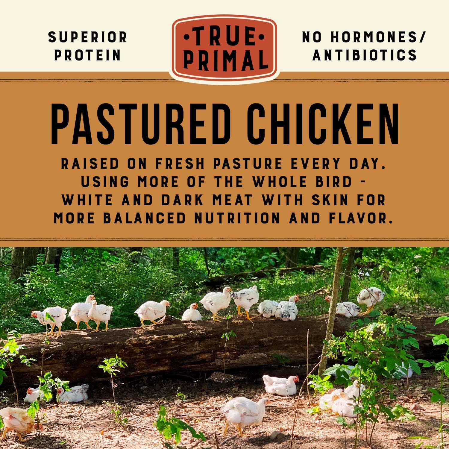 True Primal Southwest-Style Chicken Soup 8-pack, Ready to eat, Bone broth, Gluten free, Paleo, Pastured chicken, Whole305
